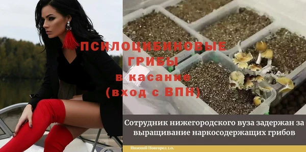 кокаин Михайлов