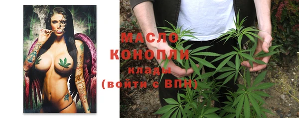 индика Навашино