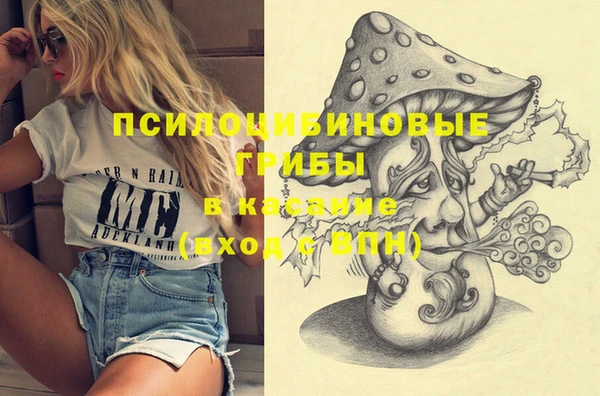 трава Аша