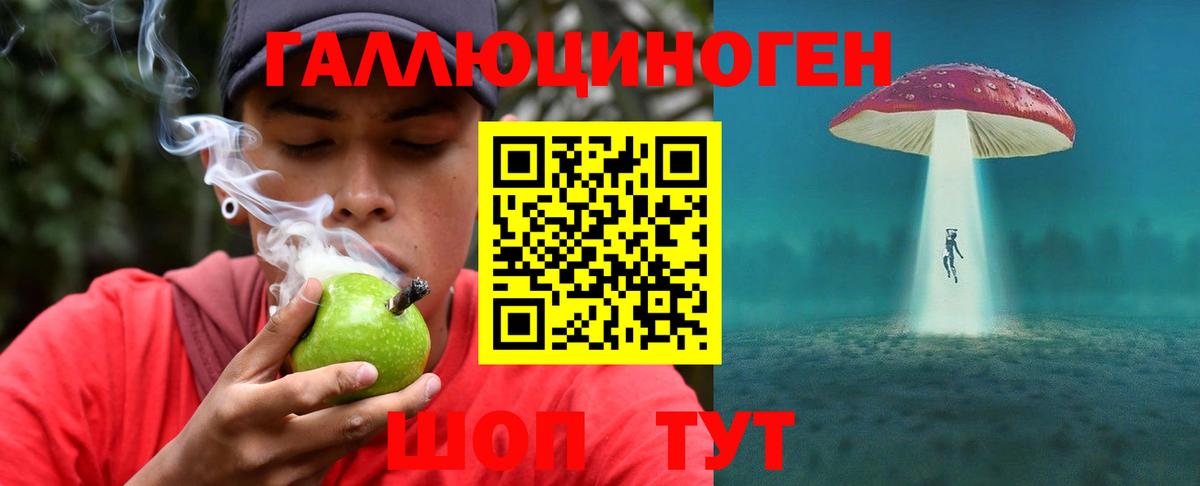 что такое наркотик  Дзержинск  Галлюциногенные грибы Psilocybe 